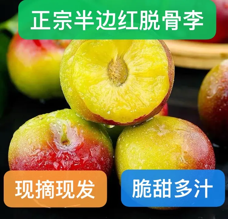 【主播专属】云南正宗脱骨半边红茵红李新鲜应季脆甜多汁