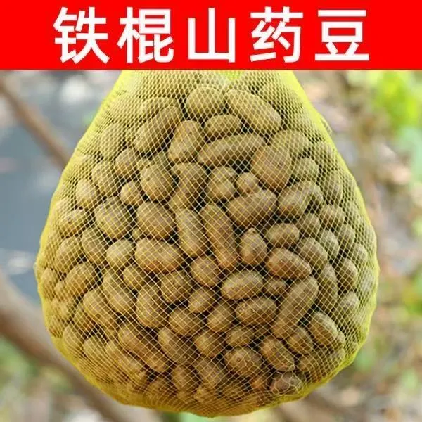 大果山药豆甜粉糯蔬菜 铁棍山药新鲜蔬菜豆子 正宗山药豆 可冷藏