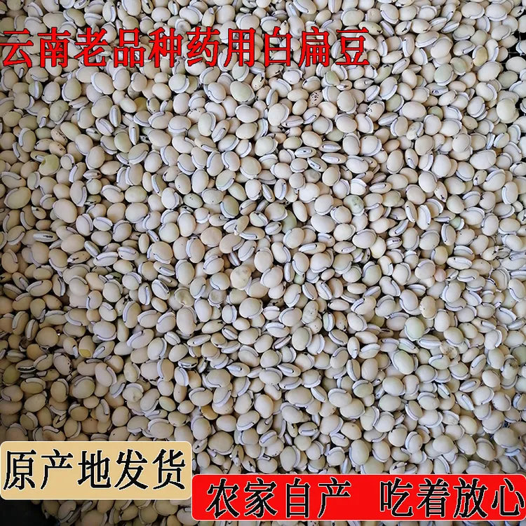 白扁豆云南老品种小粒药用白扁豆