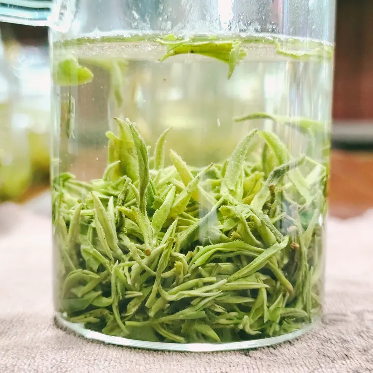 16号2025新茶紫阳【明前翠峰】春茶毛尖绿茶高级茶叶兰花香