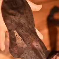 【甜甜姬茉】吊带袜丝滑纯欲情调连裤袜黑丝波点一体丝袜超