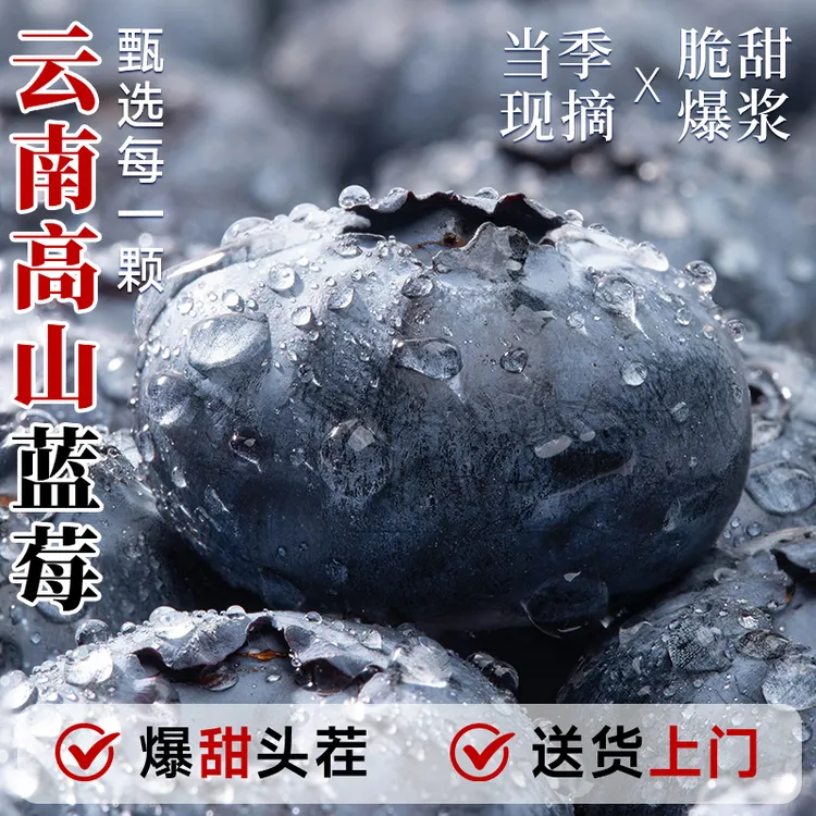 云南花香高山蓝莓新鲜果应当季水果枝l整特大果怡佳颗冠包邮沃25