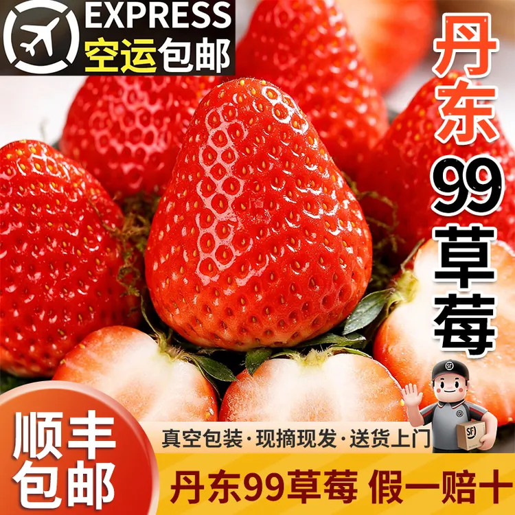 【下单秒发】丹东99大草莓九九红颜新鲜现摘甜牛奶油孕妇吃顺丰包邮