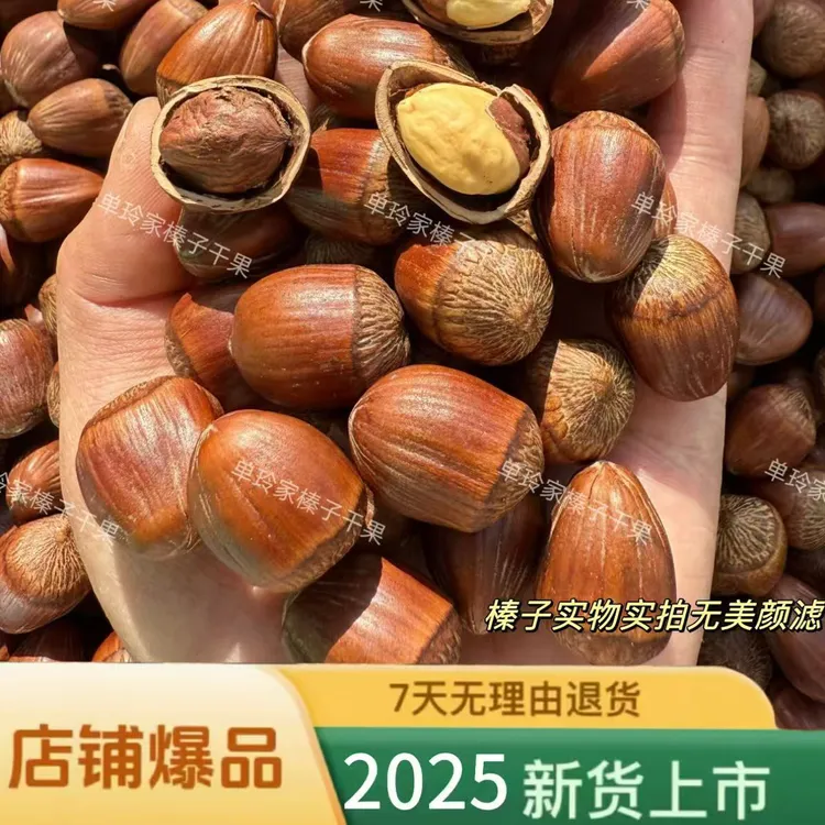 种植大果榛子（熟）新货5斤装（试吃二两）闭口 送钳子