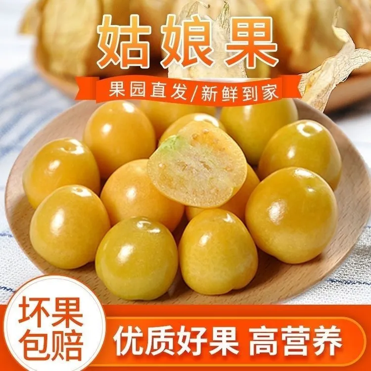 东北新鲜姑娘果灯笼果现摘现发香甜可口产地直发