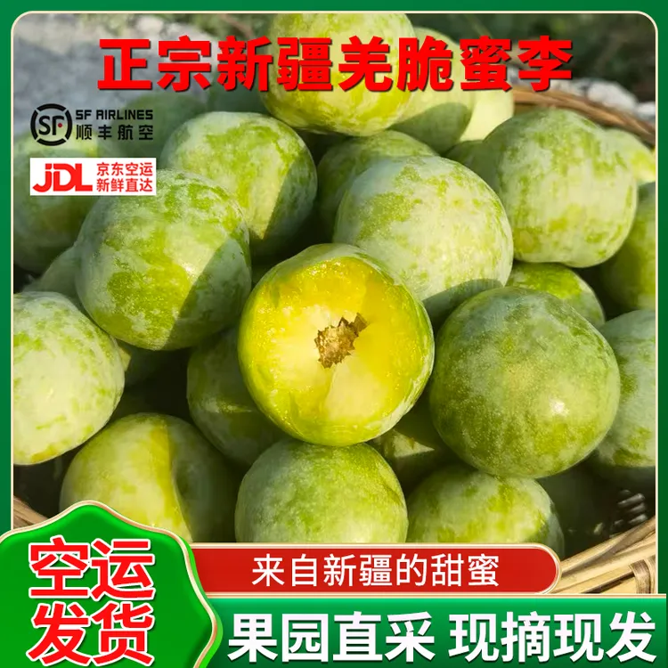 正宗新疆阿克苏羌脆蜜李 新疆冰糖李羌蜜李顺丰空运基地直采3斤装