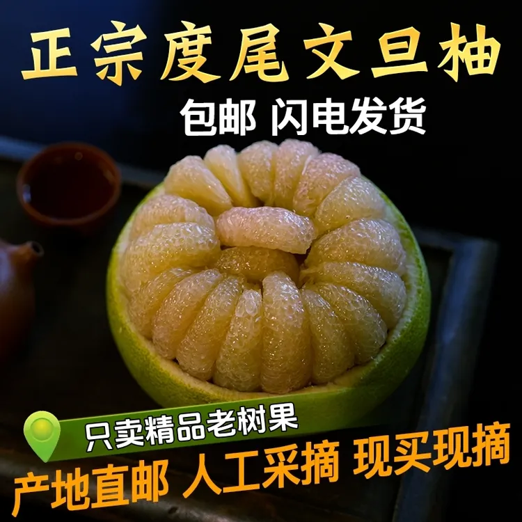 正宗福建仙游度尾老树文旦柚当季新鲜现摘孕妇时令水果精品柚子