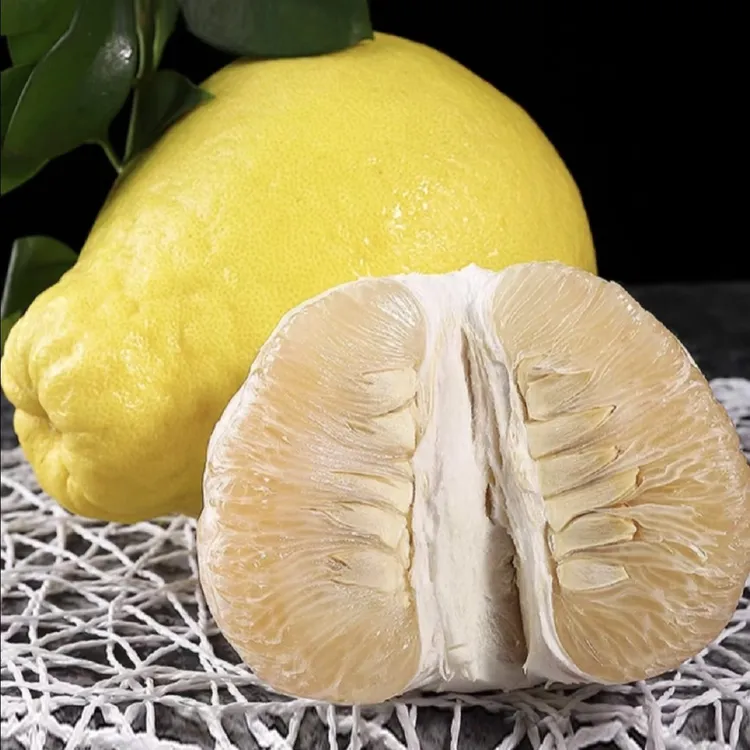 沙田柚正宗纯甜新鲜柚子应季水果现摘现发特产整箱包邮高山种植