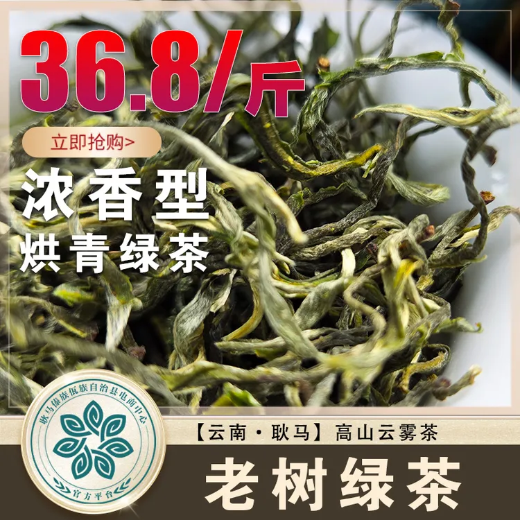 【云南老树绿茶】2025年云南云雾茶浓香型口粮茶罐罐茶烘青毛尖绿茶