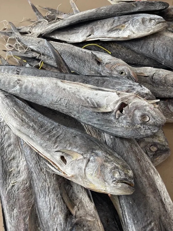 汕尾马宫本港就船厚刀鱼 咸鱼做茄子煲特别下饭 汕尾特产海鱼干货