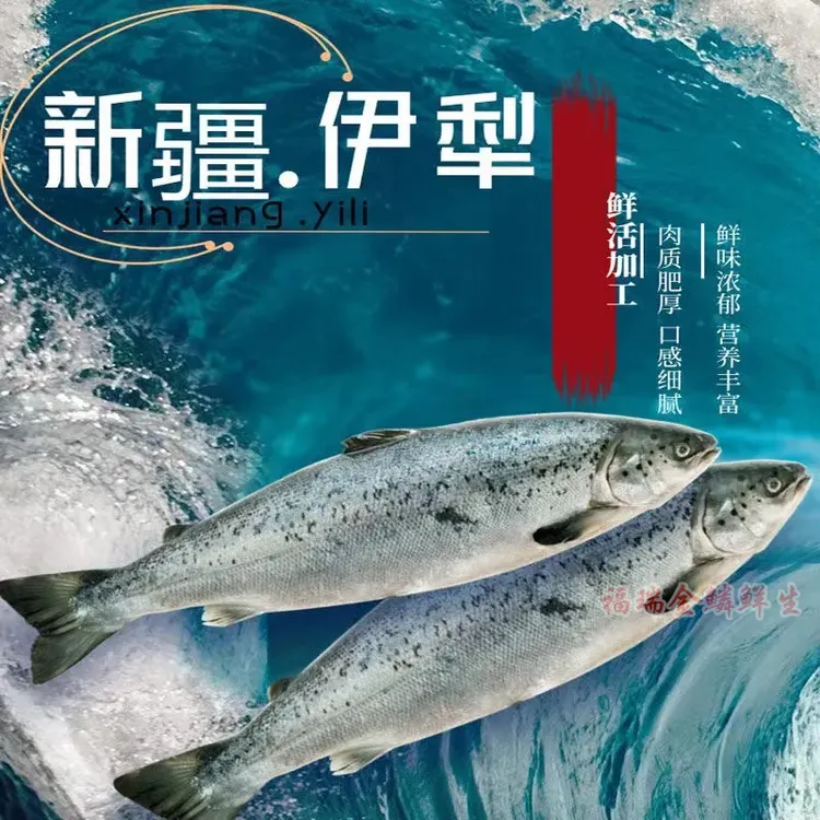顺丰冷链国产新疆三文鱼冰鲜整条开片去刺刺身寿司日料三文鱼整条