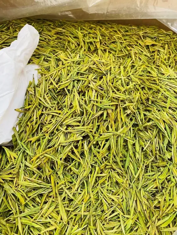 【口粮茶】2025年黄金芽，浓香耐泡，香气足，口感鲜甜