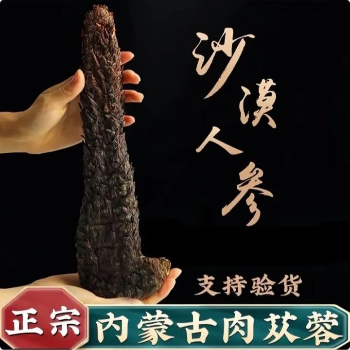 肉苁蓉 沙漠人参 软质肉苁蓉 大芸 大云 自然晒泡酒