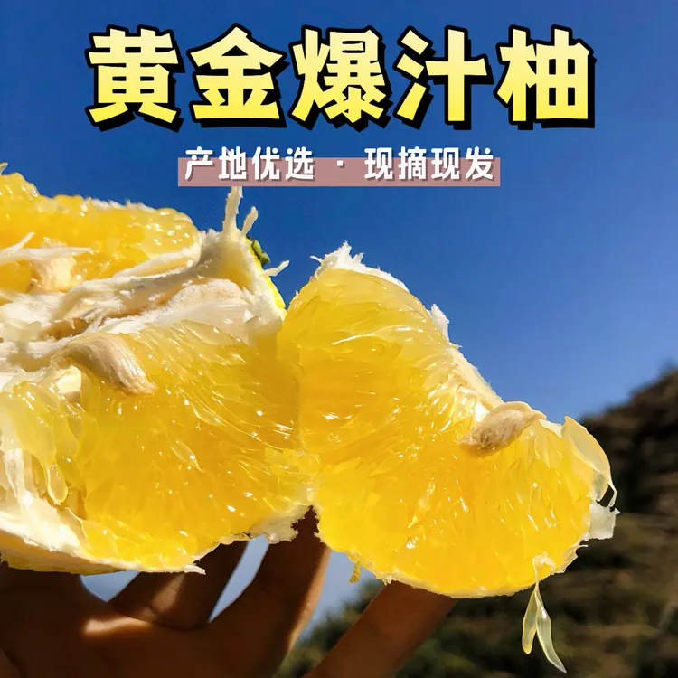 福建黄金爆汁葡萄柚新鲜采摘清甜多汁当季柚子孕妈妈水果爆甜西柚