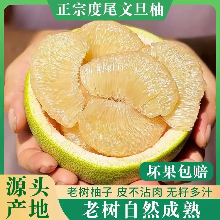 福建仙游度尾文旦柚正宗老树红白心柚子当季新鲜孕妇水果酸甜多汁