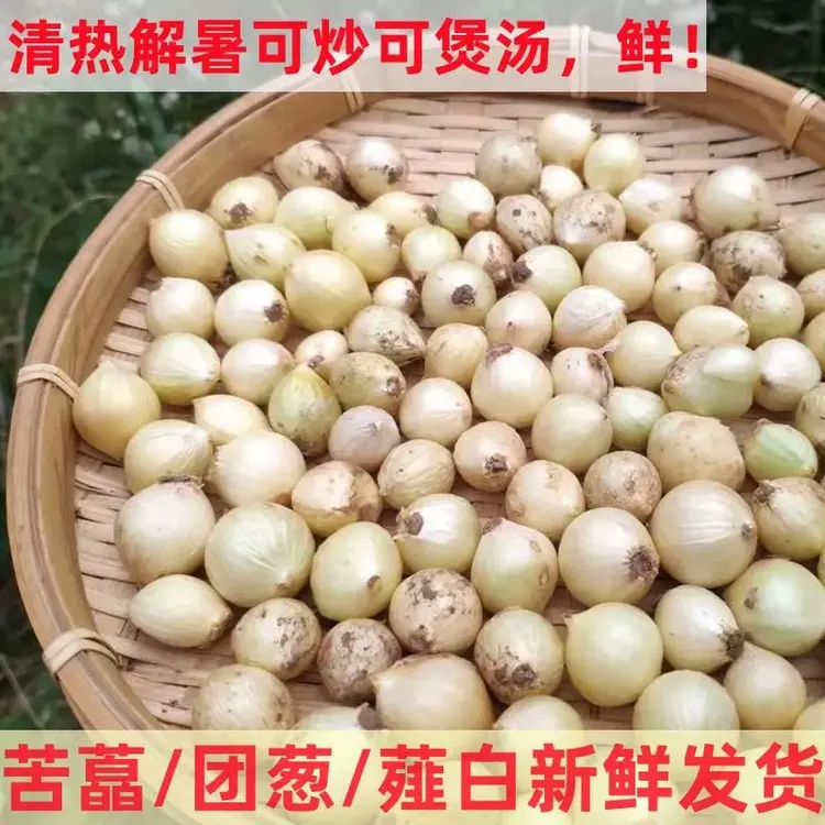 新鲜苦藠农家种植老品种野葱头小根蒜可腌制炒菜凉拌团葱薤白