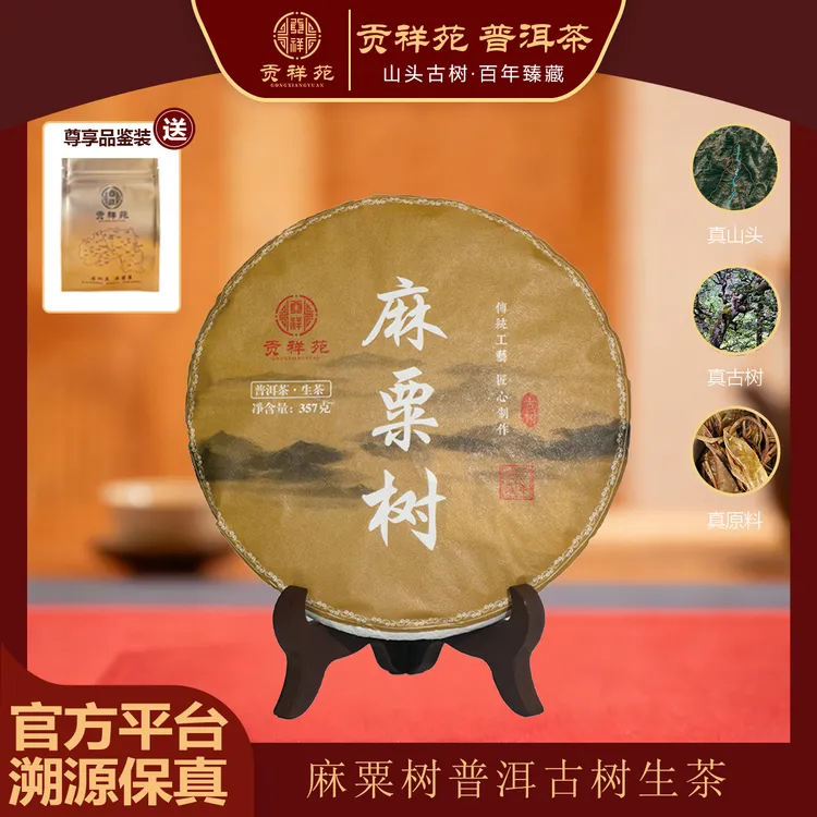 【贡祥苑】2024年麻粟树古树普洱生茶云南普洱茶古树生茶357g/饼