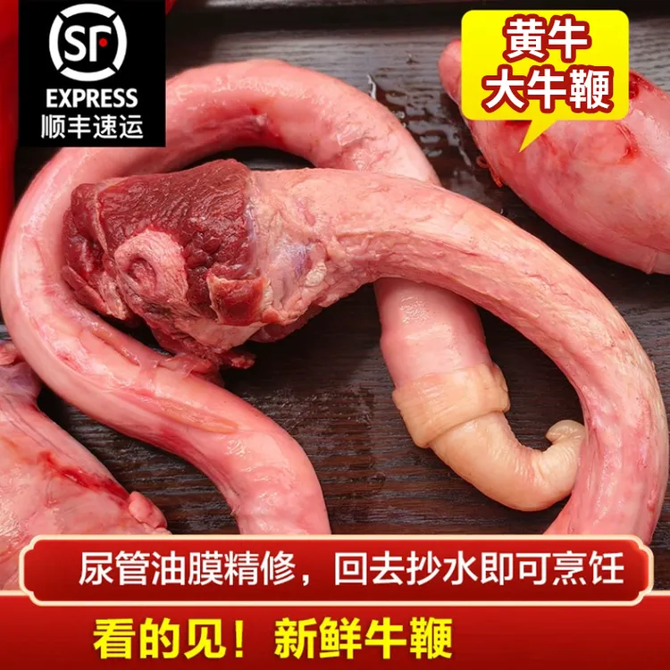 牛鞭新鲜整根无包皮包邮牦牛鞭黄牛鞭冷冻商用纯鞭新鲜牛鞭