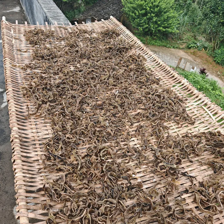 （林支书代卖）信宜特产农家狗儿豆干村民自种