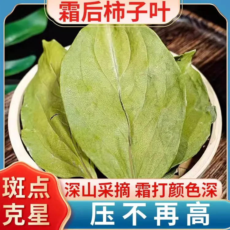 柿子叶茶包正品新货干柿子树叶霜降霜打霜后压新鲜泡水喝的独立装