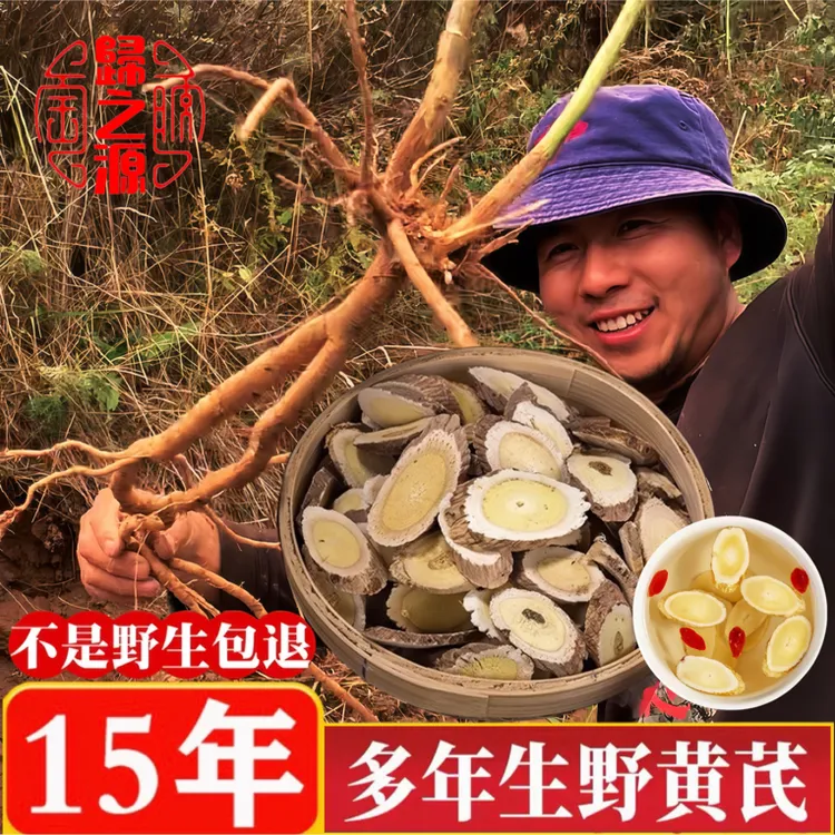 甘肃岷县高山野生黄芪片滋补养生泡茶煮水煲汤养生汤配枸杞党参