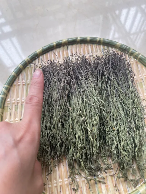独脚金 野生采摘生晒 纯野独脚茎 小棵矮脚 根茎叶可煲汤炖汤