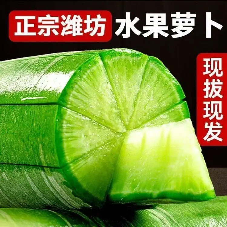 潍坊水果萝卜新鲜脆甜多汁微辣爽口营养丰富可生吃