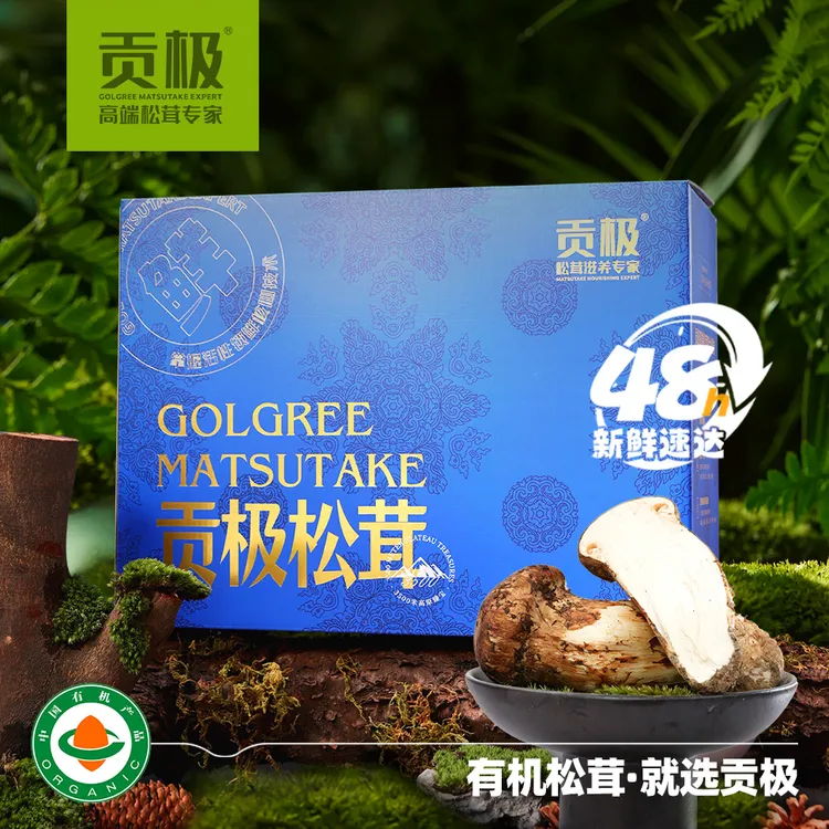 新鲜松茸有机滋补菌菇礼盒中秋送礼高端食材