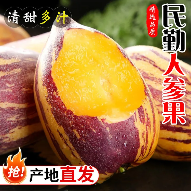 甘肃明勤人参果产地发货黄肉水果新鲜现摘鲜果长果小孩老人孕妇商品图
