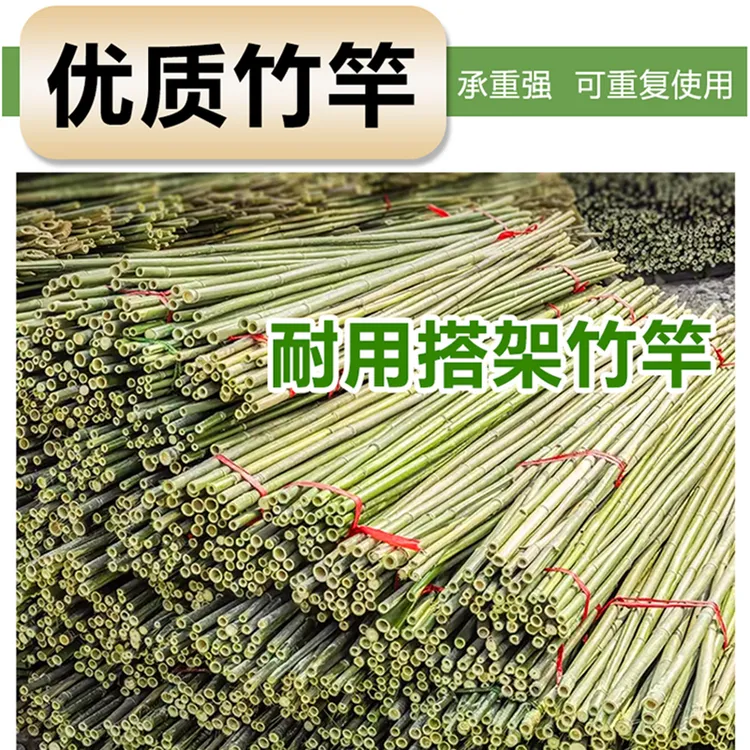 竹竿爬藤架菜园搭架专用黄瓜架子豆角篱笆围栏种菜竹竿种菜支架