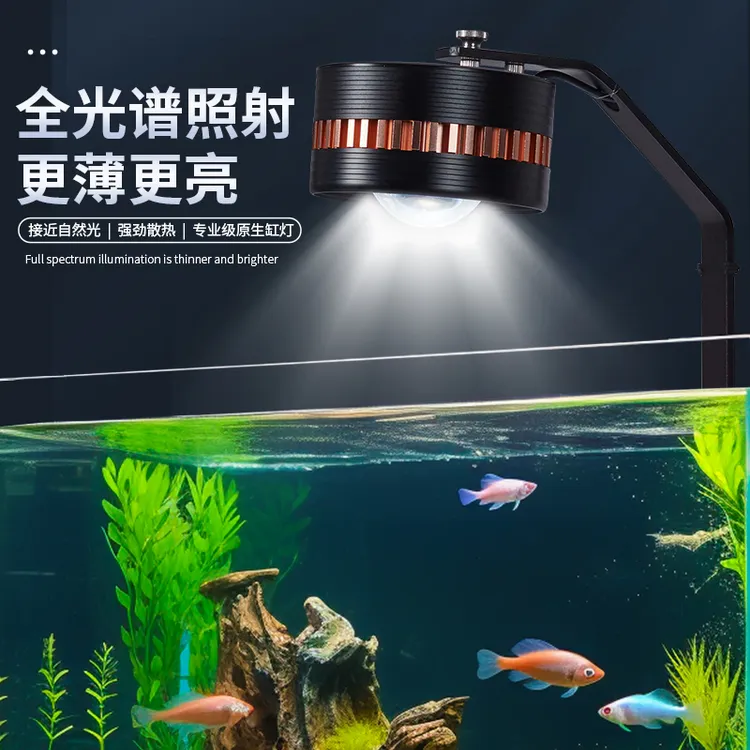 sqg鱼缸灯全光谱专用爆藻灯水族箱专业观赏原生态溪流缸水草灯