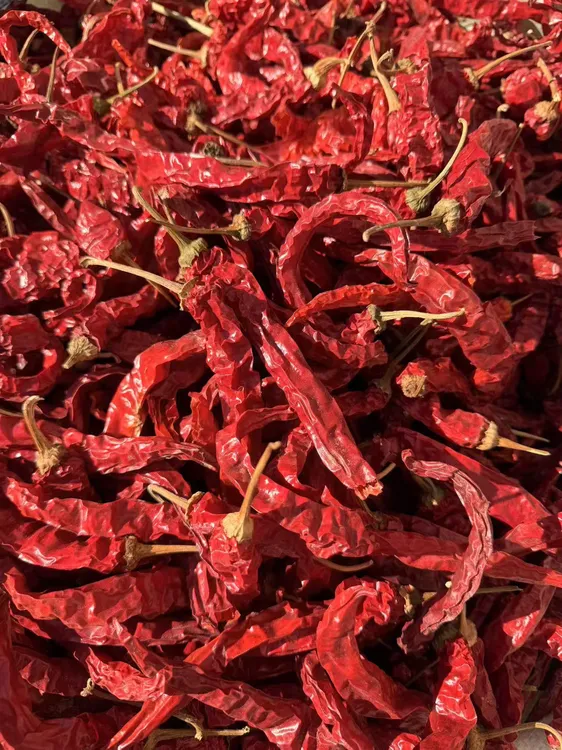 东北特产薄皮大红干辣椒手工挑选晾晒辣味够香味足