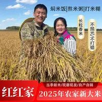 红红家大米2025年新大米东北大米长粒香米农家大米