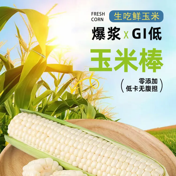 赵老师专属爆浆牛奶水果甜玉米可生食轻食 顺丰包邮 优质碳水GI低热量健身餐