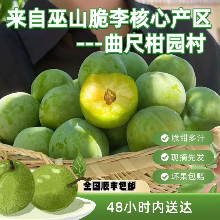 【礼盒装】正宗巫山脆李曲尺柑园产地直发人工精选顺丰空运新鲜