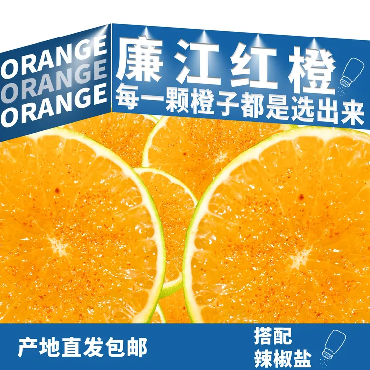 廉江红橙新鲜现摘现发当季应季水果（赠送辣椒盐