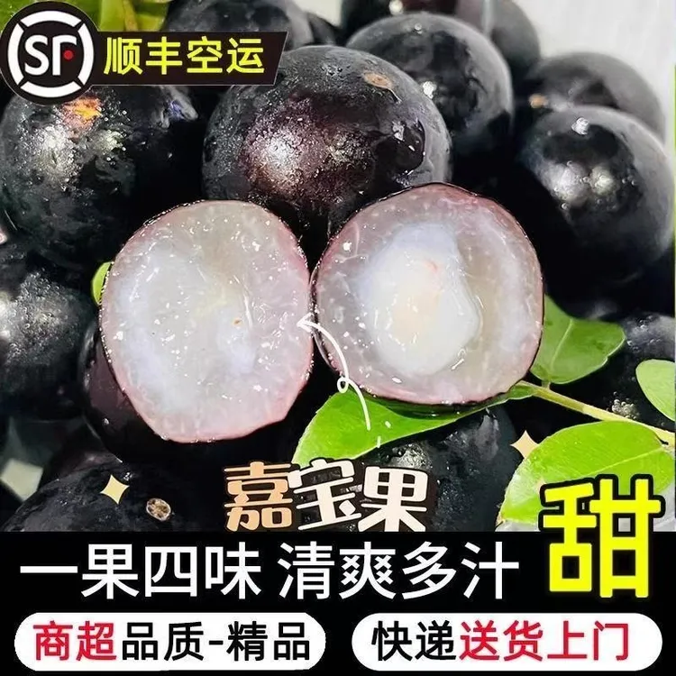 【顺丰空运】嘉宝果新鲜应季酸甜爽口稀有热带孕妇水果新鲜饱满爆汁