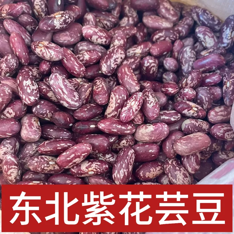 东北紫花芸豆黑龙江新芸豆 做豆馅焖饭玉米粥 