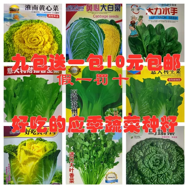 正品蔬菜种子拍九送一抗病高产耐热耐寒适合春秋盆栽地栽种植买