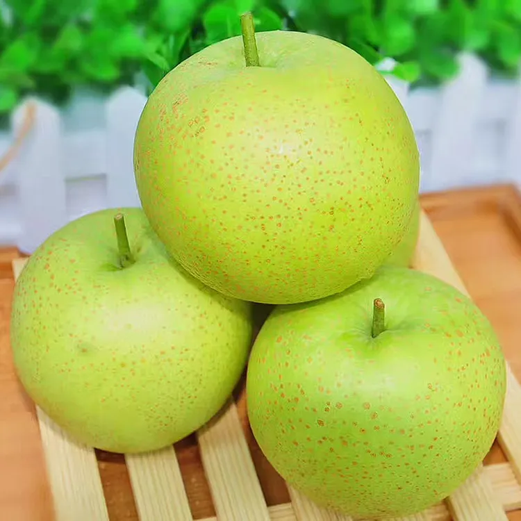 现摘新鲜砀山青梨脆甜多汁皮薄肉嫩当季水果
