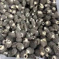 小草莓羊肚菌100g南北干货