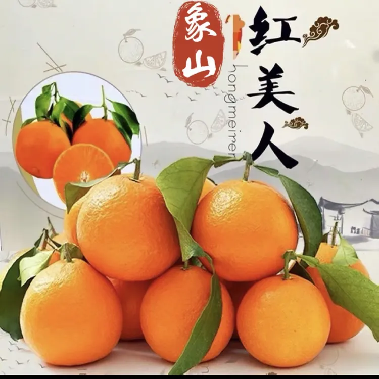 象山毛毛虫家正宗象山红美人新鲜果品产地直发