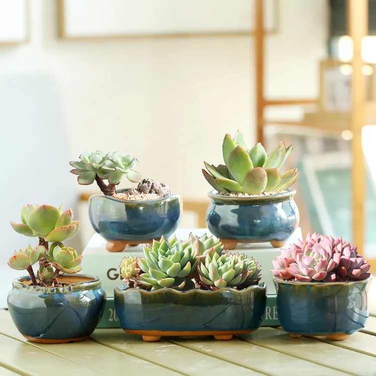 简约网红窑变蓝手工制作多肉花盆陶瓷盆器创意小花盆栽工艺品批发