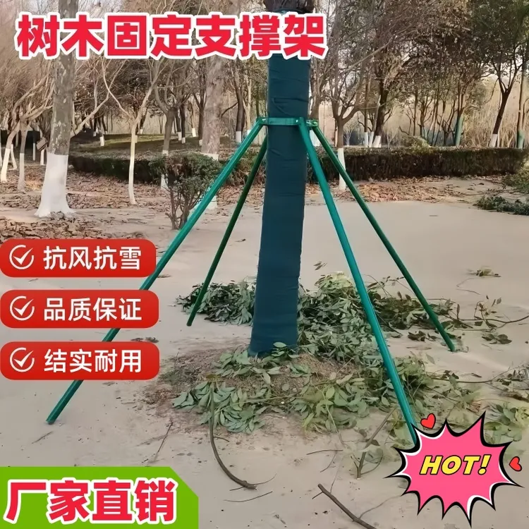 钢管树木支撑架苗木固定器园林防风大树支撑杆绿化苗木支架固定器