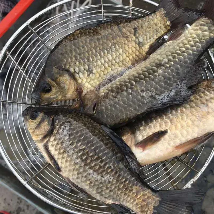 微山湖野生鲫鱼（小时候的味道）宰杀清理干净发货顺丰包邮