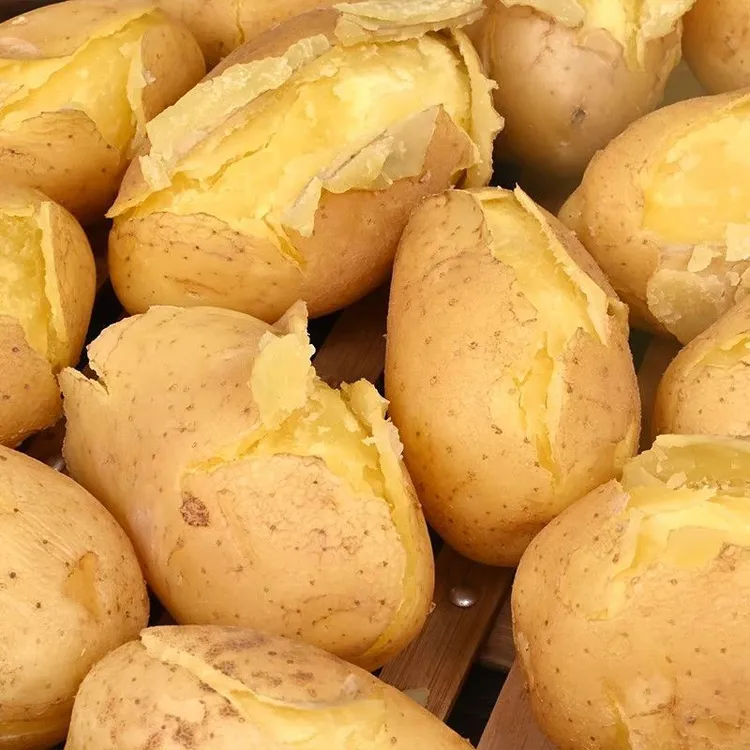 贵州高山黄心老土豆老洋芋农家自种蔬菜马铃薯