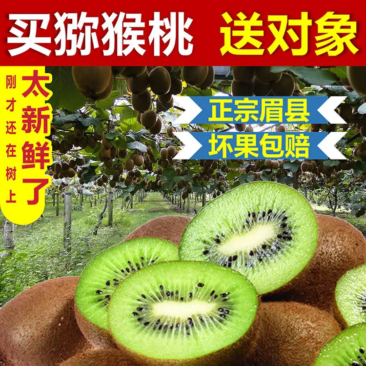 陕西省眉县产地直销西杰公社徐香猕猴桃