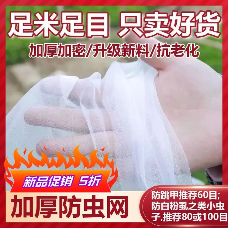 80目防虫网种菜专用纱网蔬菜地防虫网罩大棚果树园防鸟防护网加密