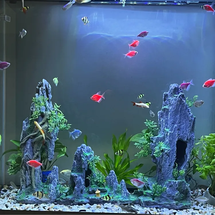 80CM100CM鱼缸造景摆件鱼缸装饰品摆件鱼缸摆件沉摆件鱼缸躲避屋