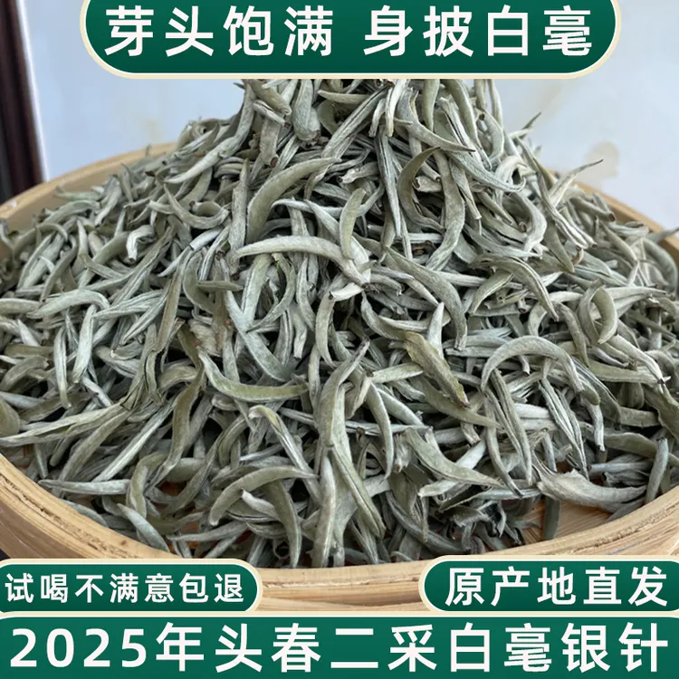 【2025年春茶白毫银针白龙须】云南景谷秧塔高山白茶云白毫清香花香